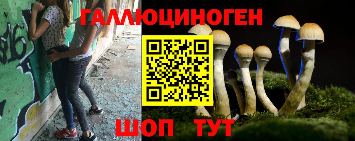 Галлюциногенные грибы Psilocybine cubensis  Вход с VPN  Псилоцибиновые грибы Psilocybine cubensis  Тулун 